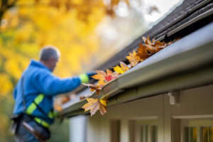 gutter cleaning